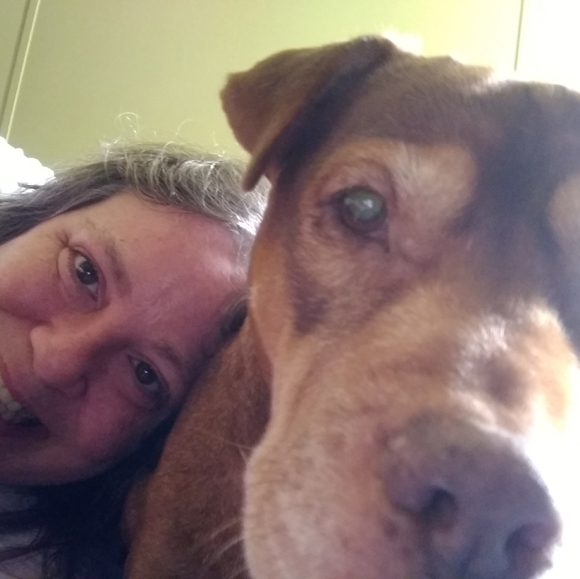 Watches, sunglasses, plus size clothing - Picture 1 of 1